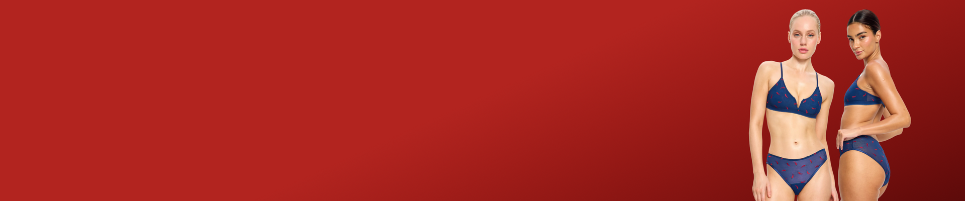 ANTI-LEAK PERIOD LINGERIE