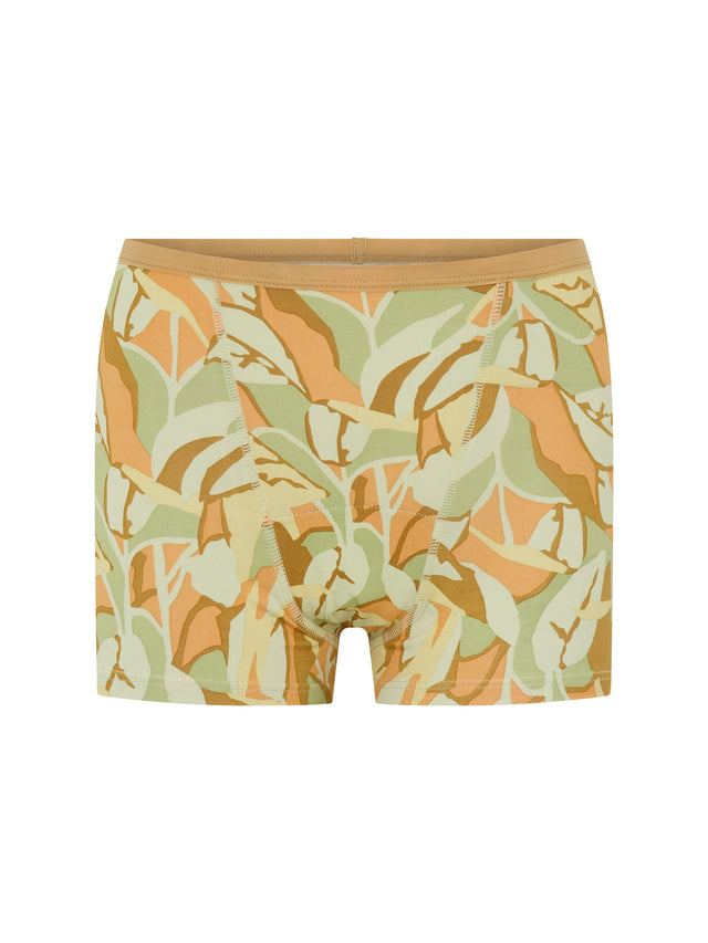 Boxer classique flux moyen Araponga blanc