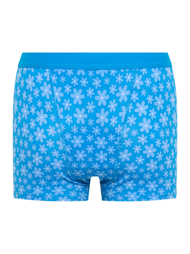 Teen Hipster Boyshort Moderate Berry Blossom