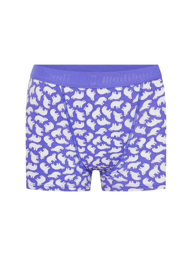 Teen Hipster Boyshort Moderate Eisbär Blau